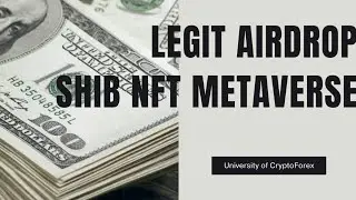 Legit Airdrop: SHIB NFT Metaverse