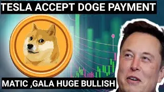 TESLA ACCEPTING DOGE AS A PAYMENT BITCOIN REAL BREAKOUT/FAKE BREAKOUT? MATIC,GALA PRICE PREDICTION,