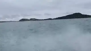 fi glass lightning cruising kawakawa bay