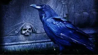 Der Poe Toaster - Edgar Allan Poe's heimlicher Verehrer