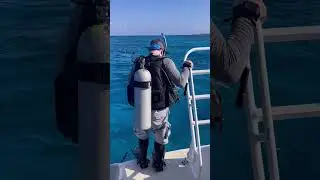 #cozumel @salemscuba1170 #scubadiving #boatdiving #giantstrides @cozumelmarineworld2943
