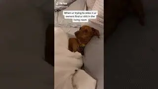 Nestle crunch meme (Tik tok)