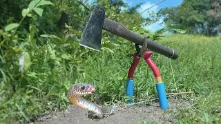 Snake  - Awesome Big Snake Trap Ways Survival Snare Trap