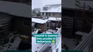 snowfall in summer, only possible in Netherlands 😍#snow #holland #northholland #netherlands #shorts