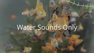 Peaceful Water Sounds Aquarium