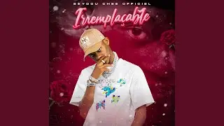 Irremplaçable