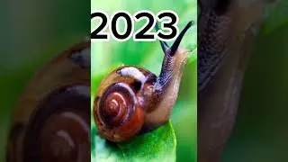 2023 snail vs 5000bce snail #trending #viral #shortsfeed
