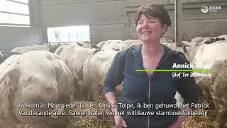 Boer in de kijker: vleesveehouder Annick Tolpe