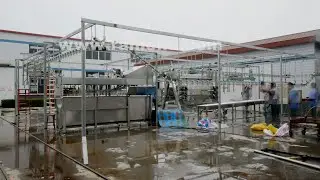 small scale poultry slaughter line installation