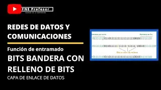 BITS BANDERA CON RELLENO DE BITS | FUNCION DE ENTRAMADO | MODELO TCP/IP | CAPA DE ENLACE DE DATOS