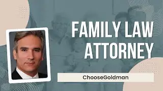 Family Law Attorney - Family Law Lawyers in Michigan - ChooseGoldman.com