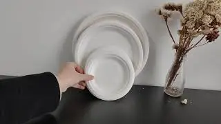 Eco-Friendly Compostable Sugarcane Plates