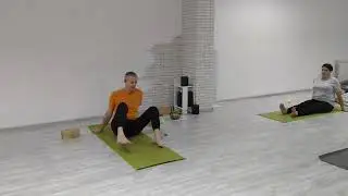 Тазобедренные суставы 