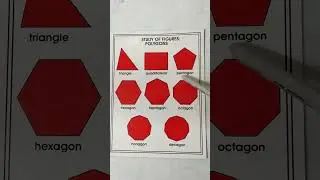 Study of Polygons in Seconds