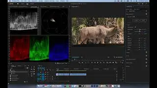 Colour Correction - Premiere 2023