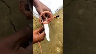The Most Effective Tarp Corner Knot Ever! #knot