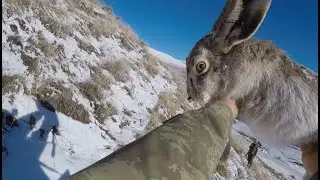 Karda Tavşan Avı Ustalardan İz Takip Öğrendik.