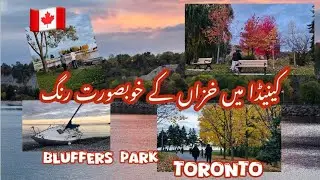 Fall Colours Ontario | Toronto Fall Colours | Bluffers Park And Beach | Beautiful Natural Views