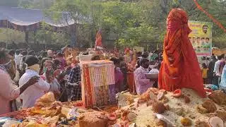 sammakka sarakka jathara (Narayanpur) 17-02-2022