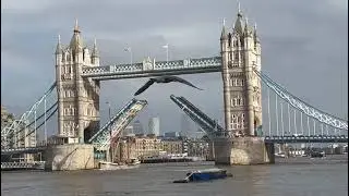 London Tower Bridge, Bridge lifting to allow large boat to pass #sunrisetravel #towerbridgelondon