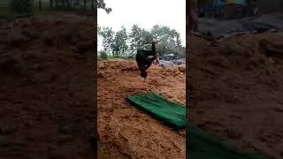 cartfull twist