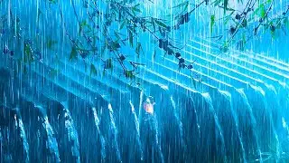 Midnight Rainstorm with Intense Thunder to Help You Sleep Well & Recharge After a Tiring Day at Work