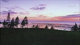 Life Jacket Racket (Music Video)