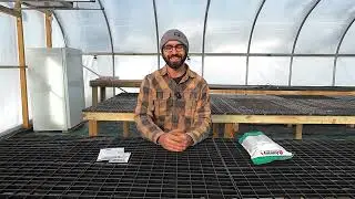 Farm Seeds We Use: Organic, Heirloom, and Greenhouse