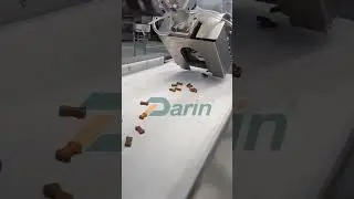 Dog Food Machine/Soft Dog Chews Extruder/Pet Chewing Bone Making Machine/Dog Treats Extruder