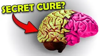 Can THIS cure YOUR DEPRESSION? (New treatment for Autism, Depression, and MORE)