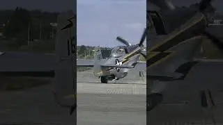 Sola Stavanger Airshow 2025 #airshow