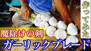 ニンニクの保存方法・ガーリックブレイド作ってみた〔how to make garlic braids〕2020年6月9日～12日