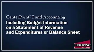 How to include Budgets on Statement of Revenue and Expenditures and Balance Sheets