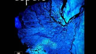 Espers (4) - Ambient, Electronica, New Age, Chill out Music 2017 - Full Album