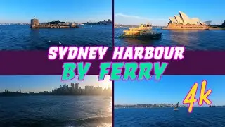 Manly to Circular Quay - Relaxing Ferry Ride 4K