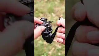 Combo Iroly Integra UL x Exotic Type O