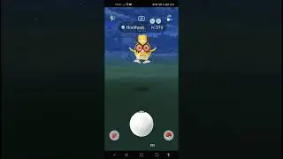 ✨ Original & Shiny 🌙 Hoothoot 🦉 New Year✨ Pok&eacute;mon Go! #Shiny #Hoothoot #newyear #pok&eacute;mongo #shorts
