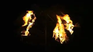 Nuit Dark Ritual 6