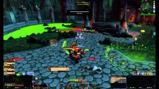 5 Warriors 5v5