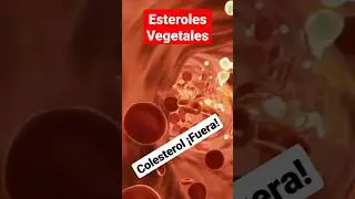 👆 Esteroles