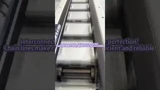 Conveying equipment#conveying #machine #linkconveyors