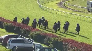 ITM Stakes 2025 - TOMODACHI (3YO+ WFA FM G3) Group 3 Rotorua NZ 10 May