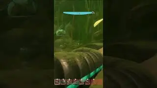 the fastest way to the bottom of the pond in grounded via ziplines