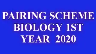 Pairing scheme 2020