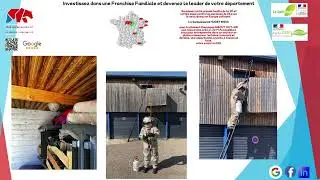 Les insectes volants