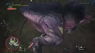 Anjanath HR investigation - Long Sword