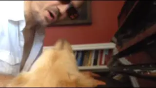 Jeff Bowron - Someone Like You [song cover] Dog Interrupts