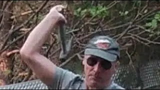 HATCHET THROWING IN BACKYARD RANGE