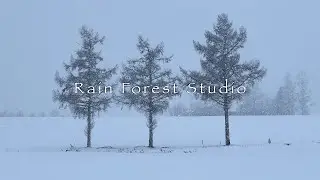 Winter in Hokkaido: Biei 2 [4K]