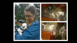 THDR video